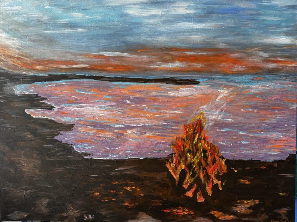 THE QUIET WILDERNESS-WATERSIDE FIRE